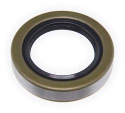 Bearing Cap Lip Seal